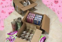 雙十二的貓糧到貨了，家裡兩隻貓咪非常滿意-頭條楓林網