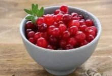 傳說這種莓養生、防癌無所不能，真有那麼神奇嗎-頭條楓林網