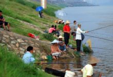 網友釣到普通青魚，卻有人花一千想買下遭拒絕，知真相後大吃一驚-頭條楓林網