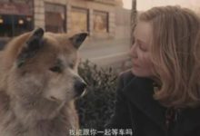 隔壁孤獨老爺爺去世，狗狗也不見了，當發現它時感動哭了！-頭條楓林網