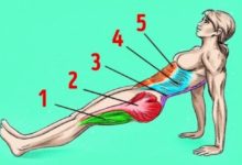 不必再找了「這就是最有效的消滅脂肪運動」，每次5分鐘還能改正你的不良姿勢！-頭條楓林網