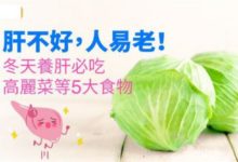 肝不好，人易老！冬天養肝必吃高麗菜等5大食物...-頭條楓林網