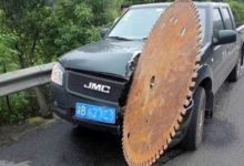 25張你從未見過的「不尋常」照片，就算只是旁觀也覺得毛骨悚然！-頭條楓林網