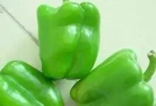 青椒怎麼搭配，延緩衰老、延緩衰老-頭條楓林網