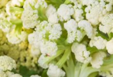 做菜時，這4種食物必須焯下水，去農藥草酸致癌物，好處太多！-頭條楓林網