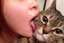 日本女星吸貓有癮，每天對著貓咪舔，最後慘遭喵星人報復-頭條楓林網