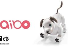 索尼更新愛寶機器狗：老造型，新花樣-頭條楓林網