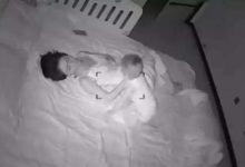 淩晨三點監控記錄下鄰居這一幕，無法讓人相信！-頭條楓林網