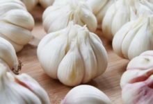 你知道如何妙用大蒜對付 寒冷的冬天嗎？-頭條楓林網