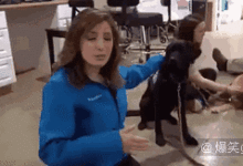 今天要跟大家聊一聊汪星人的尷尬事-頭條楓林網