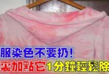 衣服染色不要扔，水裡加點它，一分鐘輕鬆除漬，還原衣服真實本色-頭條楓林網