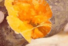 女人常吃它，皮膚白皙氣色好，一般人真的很少知道！-頭條楓林網