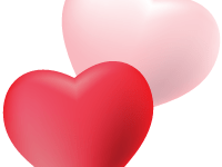 鏟屎官把貓碗拿走以後。。。-頭條楓林網