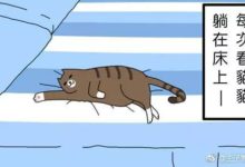 每次看到貓貓躺在床上，都會這麼做！-頭條楓林網