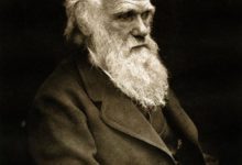 達爾文的進化論真的是正確可信的嗎？-頭條楓林網