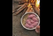 小兔子差點被凍僵，主人拿去烤火，網友：都有肉香味了-頭條楓林網