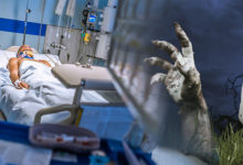 美國公司開啟死人復活計畫，遭外界質疑「難道是在製造喪屍」？！-頭條楓林網