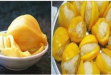 它是水果之王，具有抗癌、降血壓、抗潰瘍、抗氧化劑和抗老化的功效，許多人都拿它當飯吃-頭條楓林網