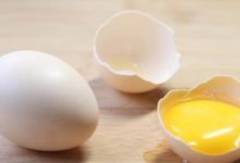 常給孩子吃這5種食物，孩子越吃越聰明，你給孩子吃過幾種？-頭條楓林網