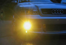 他駕駛在山路上，突然聞到一股「持久不散的濃郁香味」，下車一看驚呆了！-頭條楓林網