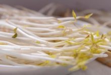 綠豆芽清脂食譜 消除肥胖的高手-頭條楓林網