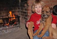 希望找到丟失的狗狗，3歲男孩寫信給聖誕老人，沒想到願望實現了-頭條楓林網