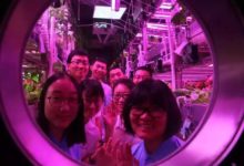 在這個地面上的“月宮”裡，創造了一項世界紀錄-頭條楓林網