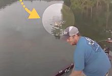 他們乘船到河裡釣魚 孤島上游來2隻小貓咪-頭條楓林網