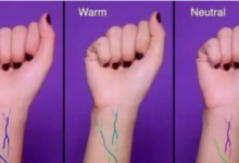 粉底色號怎麼選 要先知道冷皮和暖皮的區別-頭條楓林網