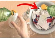 白衣服發黃千萬別扔了，把這廚房調料倒進水裡一起洗，比新買的還白。-頭條楓林網