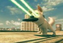 我這輩子都不會再吃狗肉了-頭條楓林網