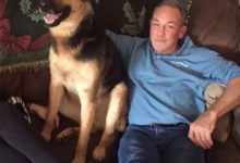 主人出差把狗狗寄養在父親那裡，沒想到它卻過上了公主般的生活！-頭條楓林網