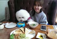 學蔡依林這樣做 早餐前5件事，讓妳更美！-頭條楓林網