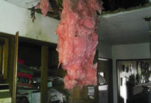 一家人外出度假，沒想到竟接到警察電話，「鄰居投訴他們擾民」！火速趕回家，推開家門後一家人被嚇傻！-頭條楓林網