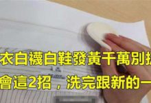 白衣服領子、白襪、白鞋發黃就穿不了了？ 學會洗衣店這2招，洗完跟新買的一樣-頭條楓林網