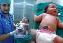 印度媽媽生下「全球史上最重女嬰」，她的誇張體重讓醫生驚呼：「簡直是生命的奇蹟」！-頭條楓林網