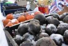 這4種水果能少吃就少吃，尤其是第三種，吃的越多，癌細胞越高興-頭條楓林網