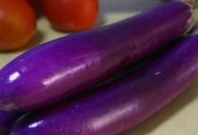 教大家一個做茄子的訣竅，有了它，以後做茄子都不再耗油了！-頭條楓林網