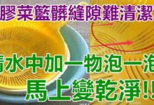 塑膠菜籃縫隙污垢難清潔？ 清水中加「一物」泡一泡，立馬變得乾乾凈凈！-頭條楓林網
