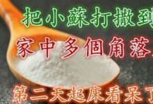 她睡前把「小蘇打」撒到家中多個角落裡，第二天起床看呆了！ 太實用了!-頭條楓林網