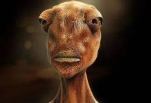 1969年的登月，竟意外發現月球的驚人真相……-頭條楓林網