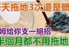 每天拖地3次還是髒？ 老保姆給你支一絕招，半個月都不用拖地了。-頭條楓林網