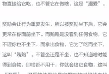 獎勵、賄賂和溺愛間的差別是什麼？-頭條楓林網