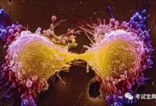 美德兩團隊宣佈癌症疫苗試驗大獲成功,癌細胞已擴散也痊癒!-頭條楓林網