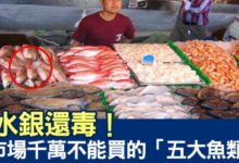 婆婆媽媽別被價錢騙了！ 去市場絕對不能買的「六種魚產」，比吃水銀還「毒」-頭條楓林網