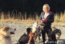 狗是人類最忠誠的朋友！登山者被困了整整三天，所幸三隻狗狗不離不棄，使她從而獲救！-頭條楓林網