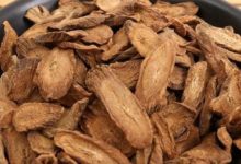 濕氣入侵四肢沉重？ 常吃這些鹼性食物，排出體內濕毒一身輕鬆！-頭條楓林網