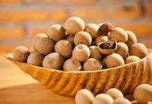 ＂這一物＂泡水喝，近視從800度降到200度！失眠者喝七日痊癒！99%人都不懂正確煮法!!-頭條楓林網