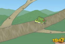 旅行青蛙照片重複怎麼辦 重複的照片解決辦法-頭條楓林網