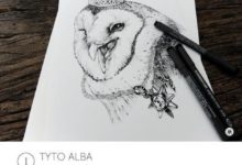 貓頭鷹黑白插畫-頭條楓林網